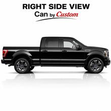 right side view  07 ford f150 crew cab